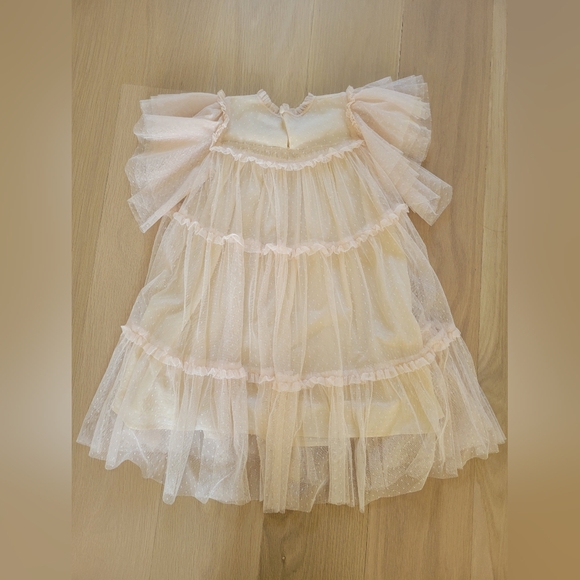 Gorgeous Cera Una volta girls crean tulle dress - Picture 2 of 3